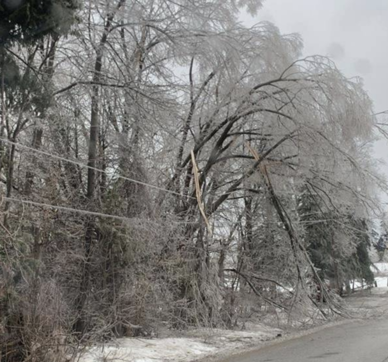 Hydro One reports 7K affected by power outage, others report hydro OK