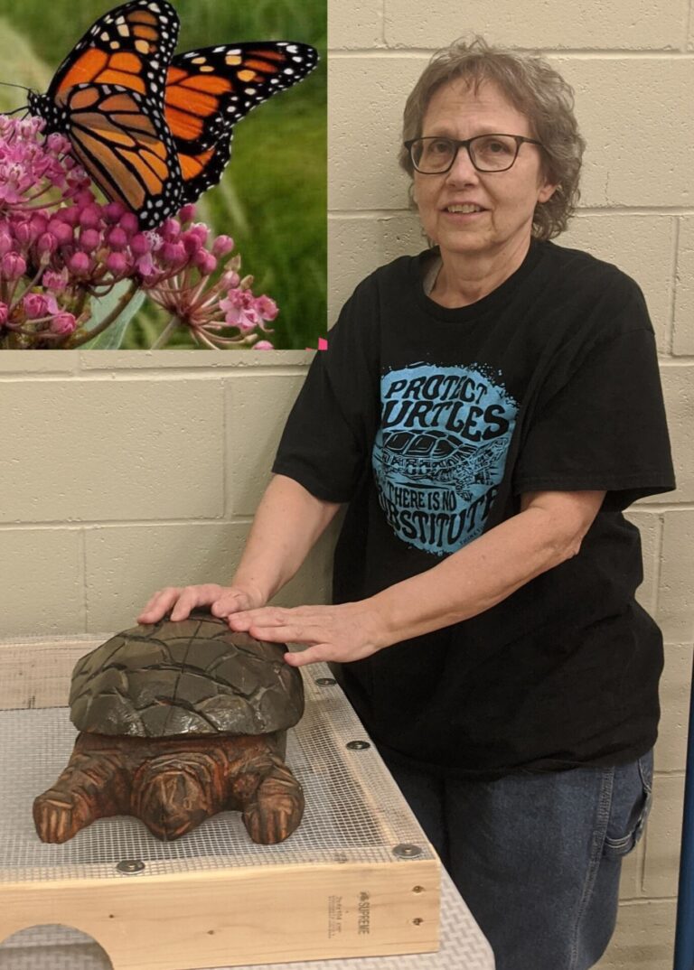 Helping turtles and pollinators with Milkweed Extravaganza fundraiser