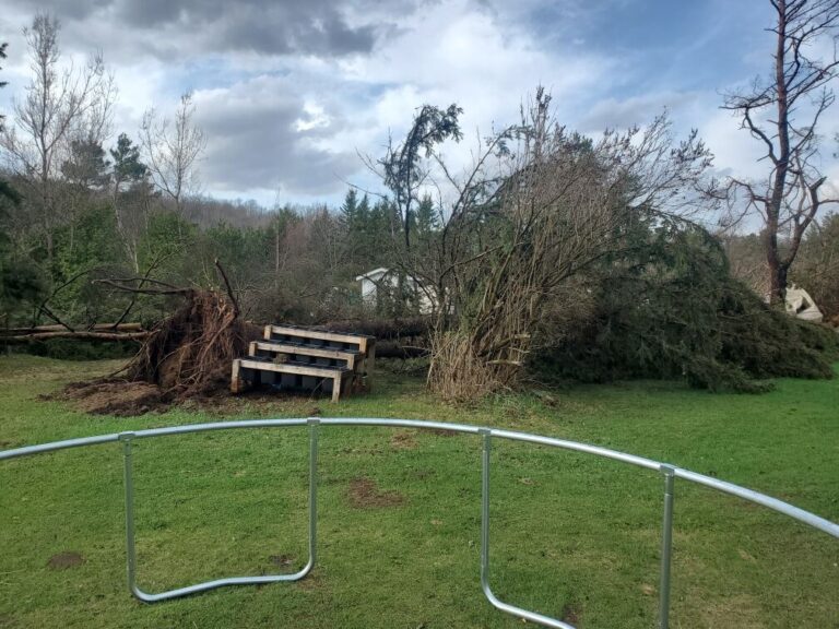 “Probably a 100 trees pushed flat”: Wind event impacts Birds Creek 