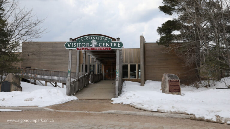 High School students across the region head to Algonquin Park for Youth Summit 