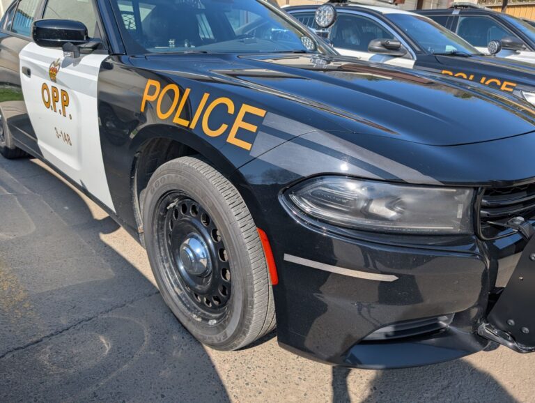 Bancroft resident charged following altercation in Hastings Highlands
