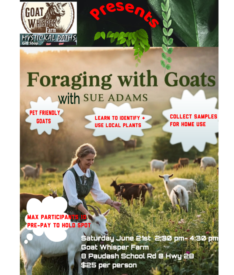 Foraging With Goats Foraging With Goats