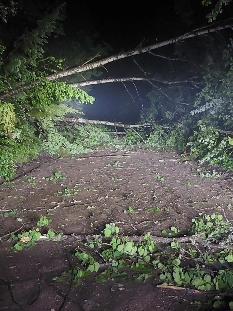 Algonquin Park recovering after severe storm hits region