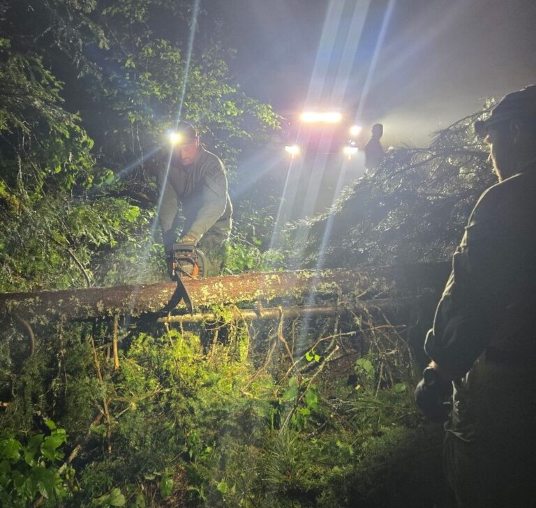 Challenging overnight rescue during storm brings mother and son to safety from hard-hit Algonquin Park