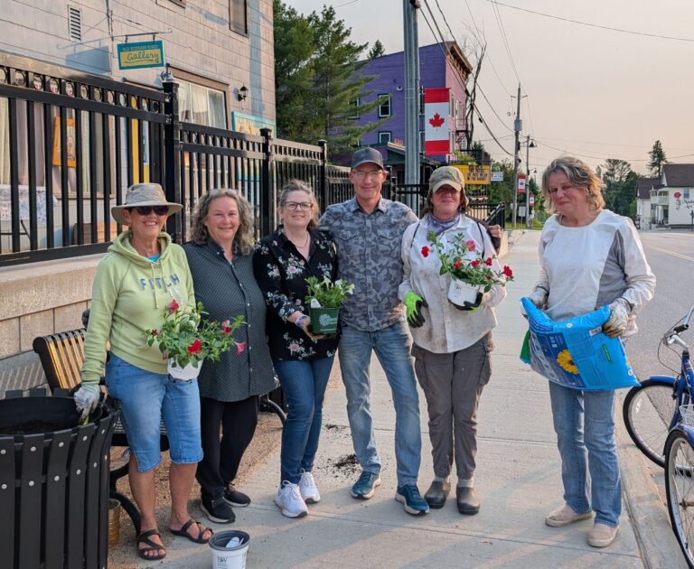Volunteers bring colour to Maynooth’s Main Street 
