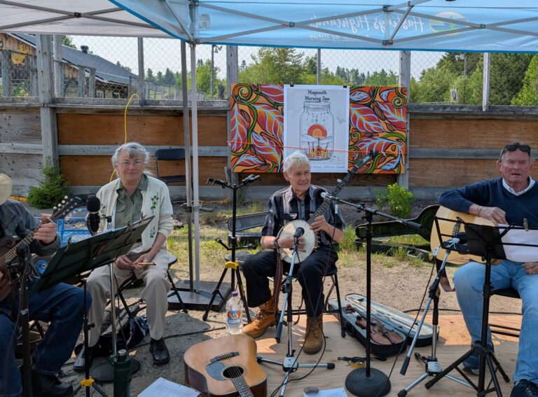 New ‘buskers stage’ welcomes musicians at Maynooth Morning Market