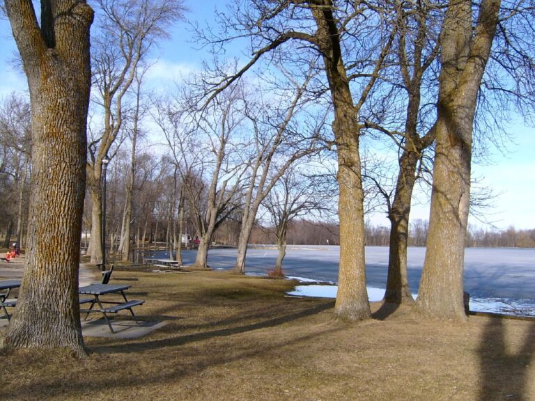 Tweed resident rescues three youth after canoe capsizes early Tuesday
