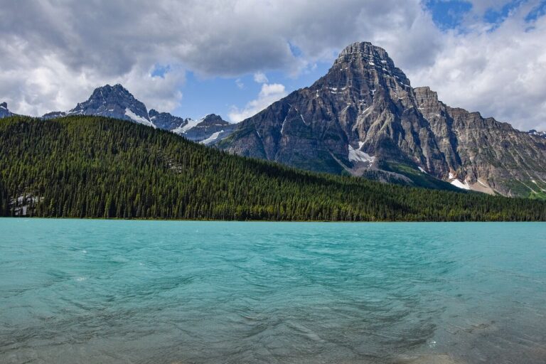 Visitors to get a free pass to National Parks and museums this summer